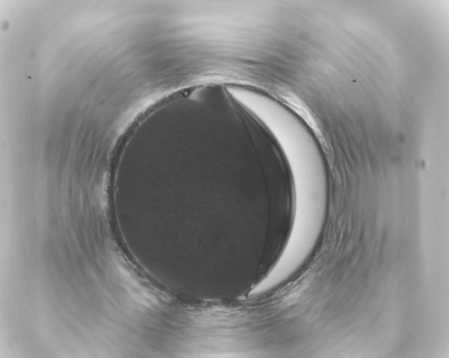 X0000088880387200706221820