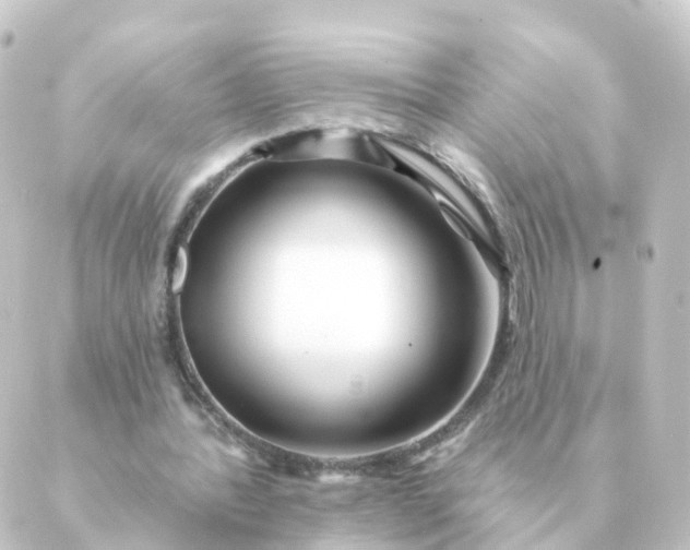 X0000088880388200706221820