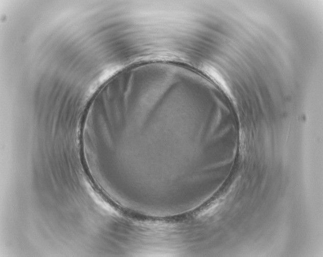 X0000088880389200706221820