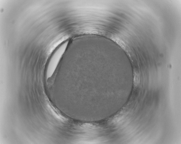 X0000088880390200706221820