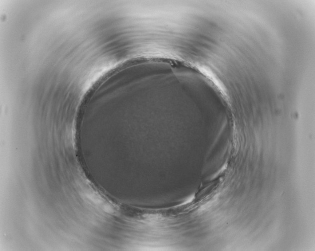 X0000088880391200706221820