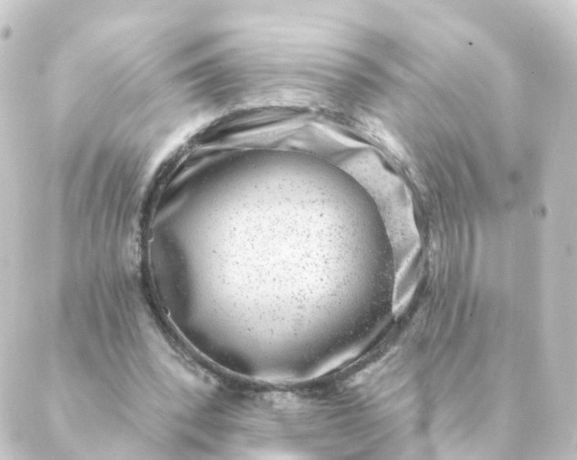 X0000088880392200706221820