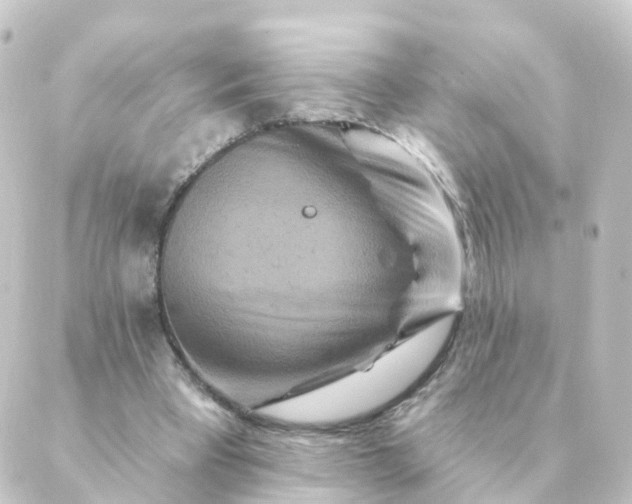 X0000088880393200706221820