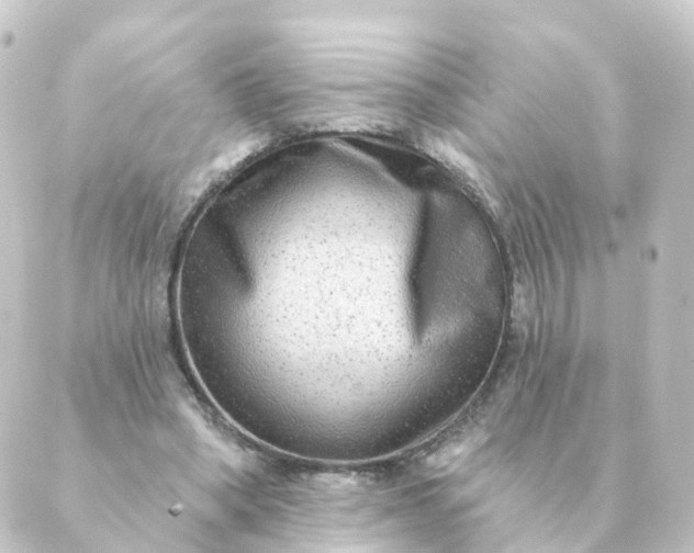 X0000088880394200706221820