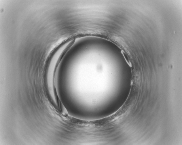 X0000088880395200706221820