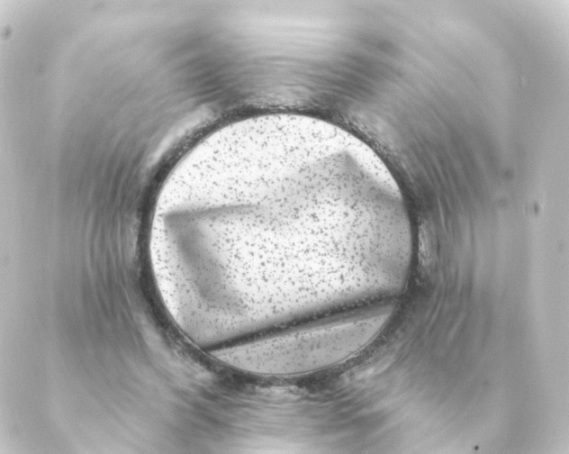 X0000088880396200706221820