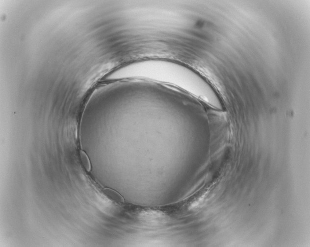 X0000088880397200706221820