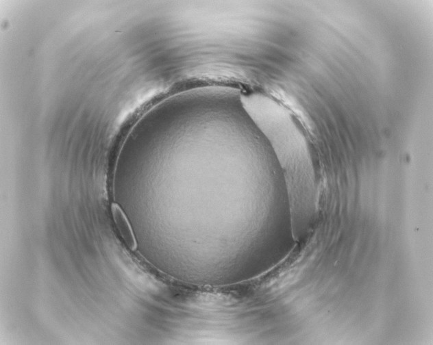 X0000088880399200706221820