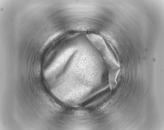 X0000088880400200706221820