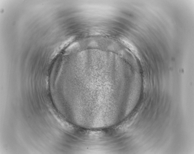 X0000088880401200706221819