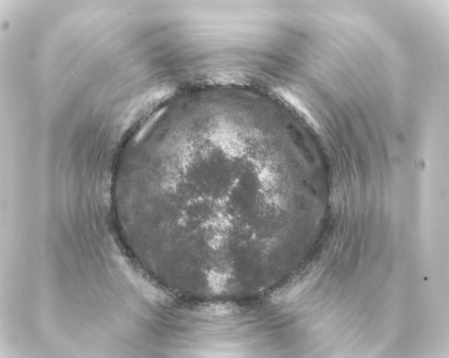 X0000088880402200706221819