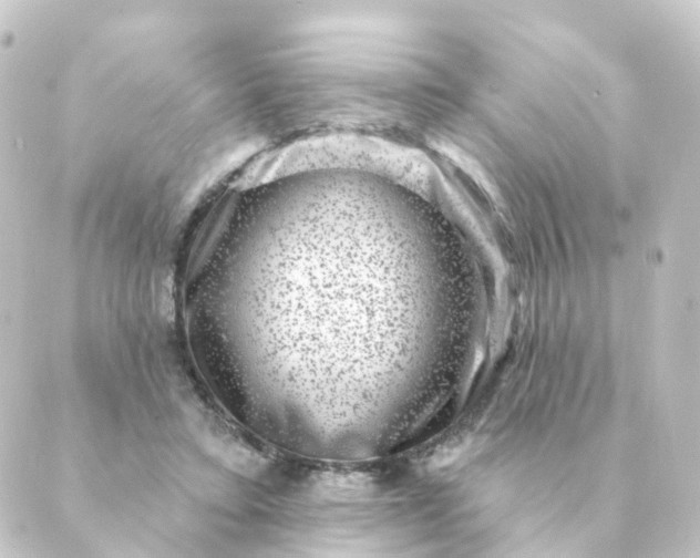 X0000088880403200706221819