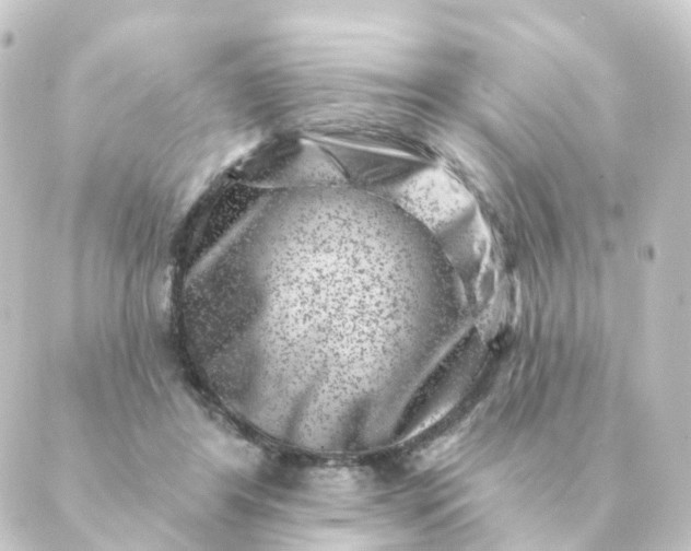 X0000088880404200706221819