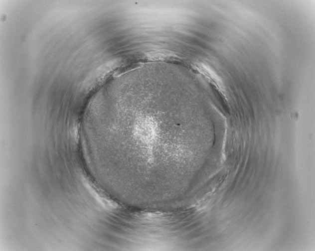 X0000088880405200706221819