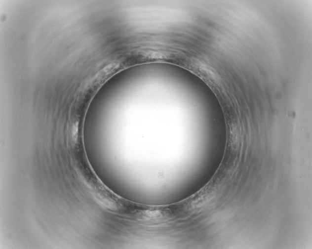 X0000088880406200706221819