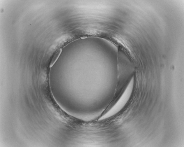 X0000088880407200706221819