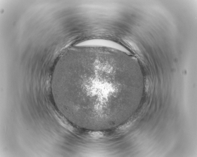 X0000088880409200706221819