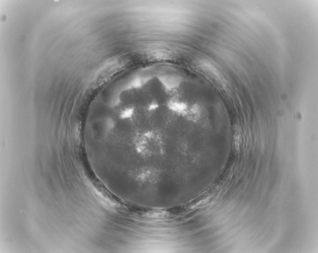 X0000088880410200706221819