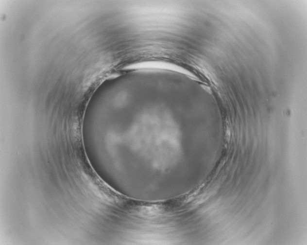 X0000088880411200706221819