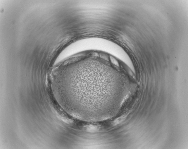 X0000088880412200706221819