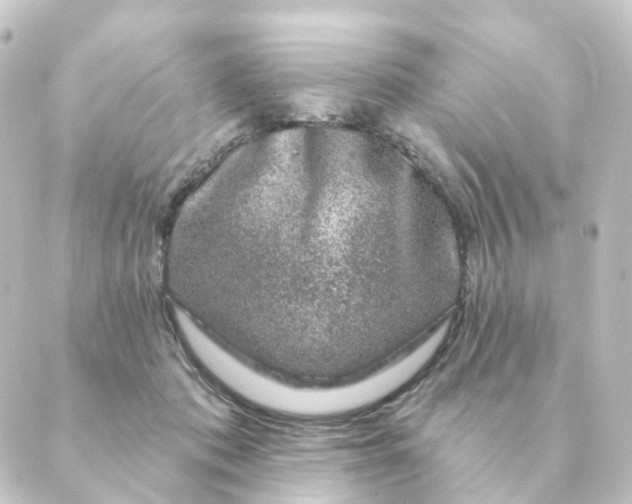 X0000088880413200706221819