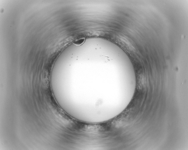 X0000088880414200706221819