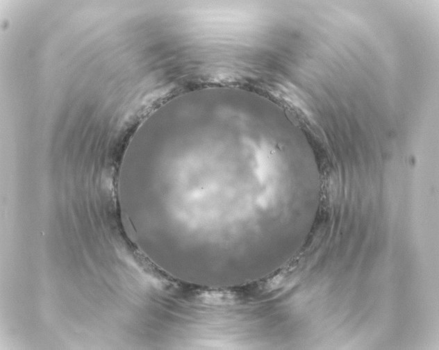 X0000088880415200706221819