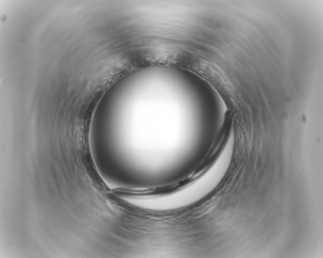 X0000088880416200706221819