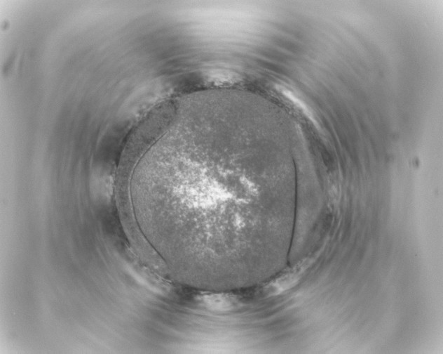 X0000088880417200706221819