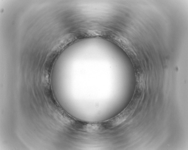 X0000088880418200706221819