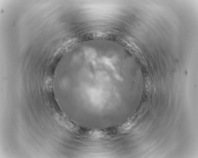 X0000088880419200706221819