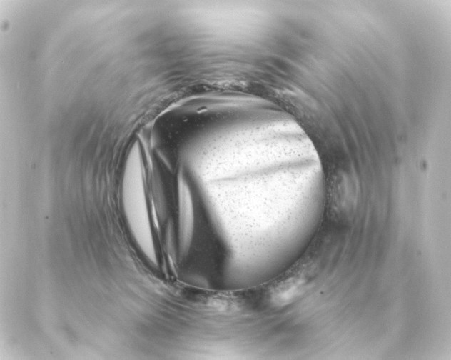 X0000088880420200706221819