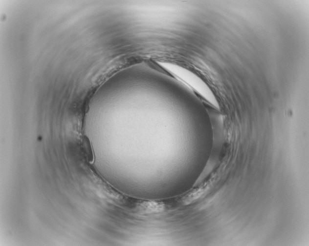 X0000088880421200706221819