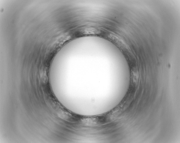 X0000088880422200706221819