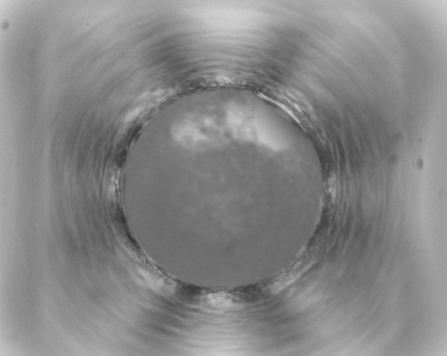 X0000088880423200706221819