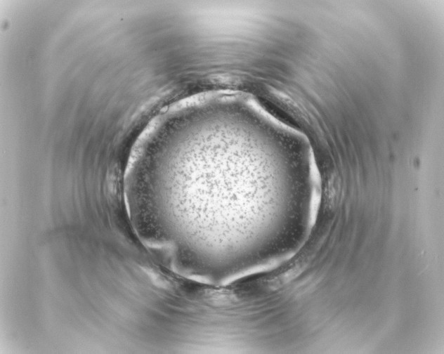 X0000088880424200706221819