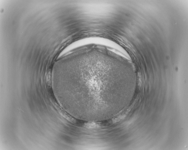 X0000088880425200706221819