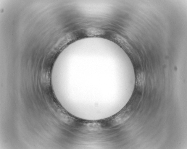 X0000088880426200706221819