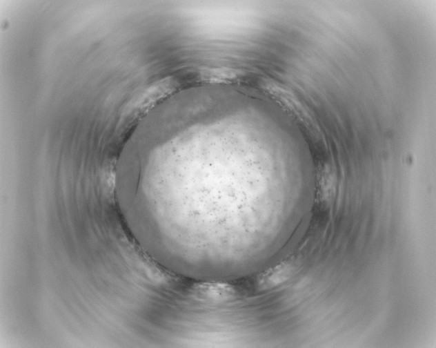 X0000088880427200706221819