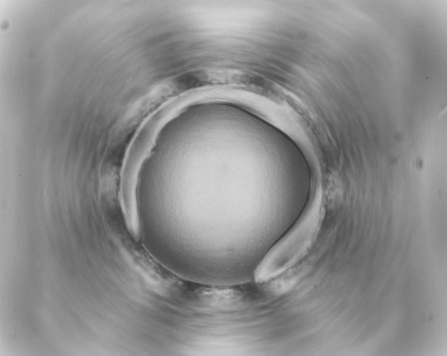 X0000088880428200706221819