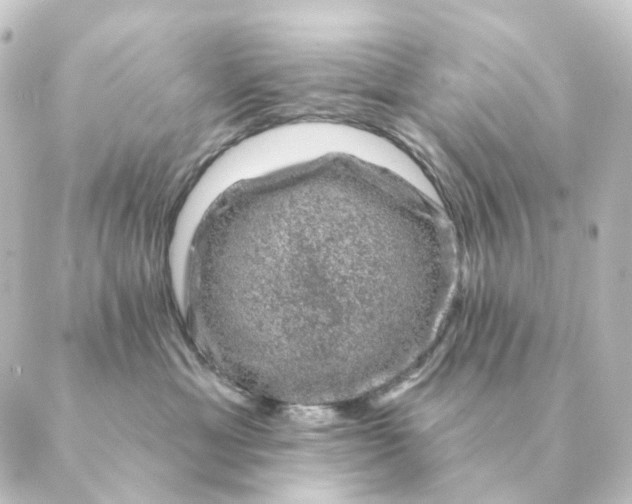 X0000088880429200706221819