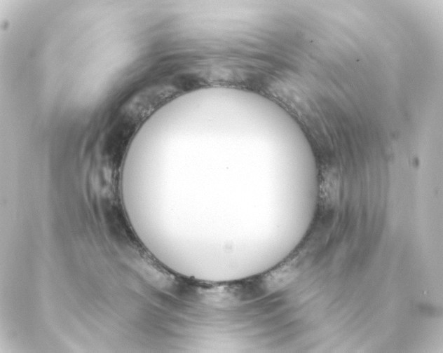 X0000088880430200706221819