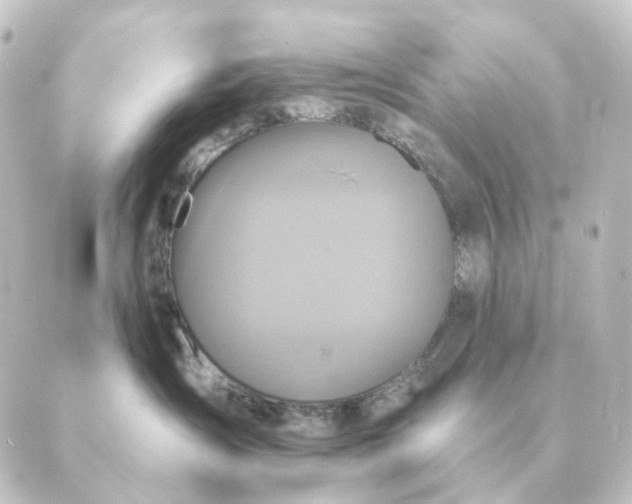 X0000088880431200706221819