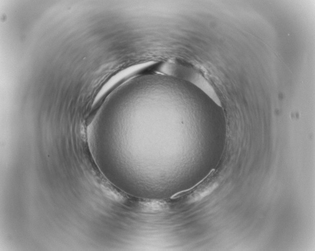 X0000088880432200706221819