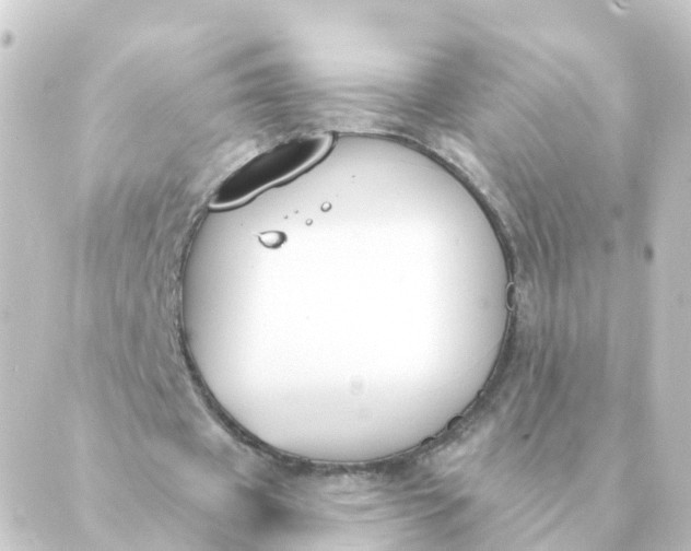 X0000088880433200706221818