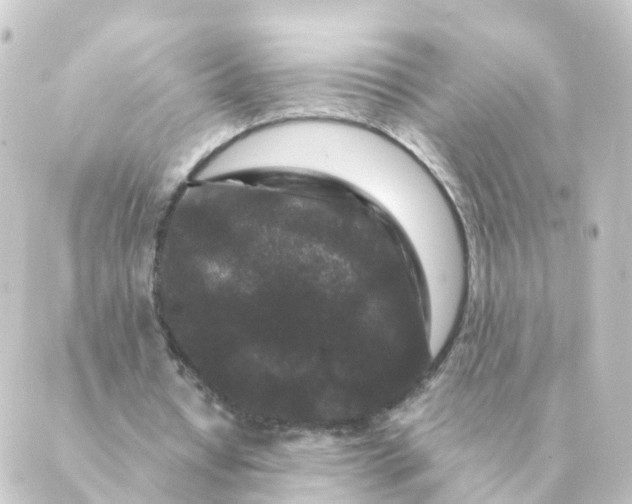 X0000088880434200706221818