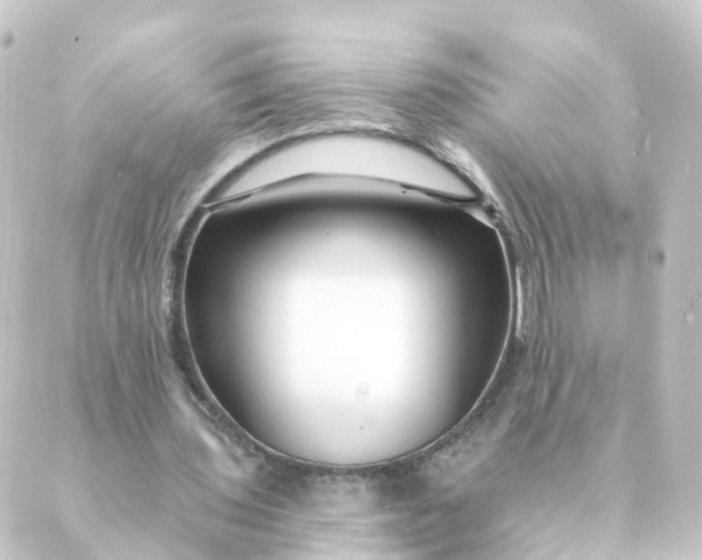 X0000088880435200706221818