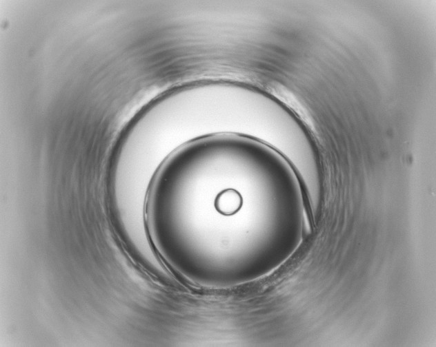 X0000088880436200706221818