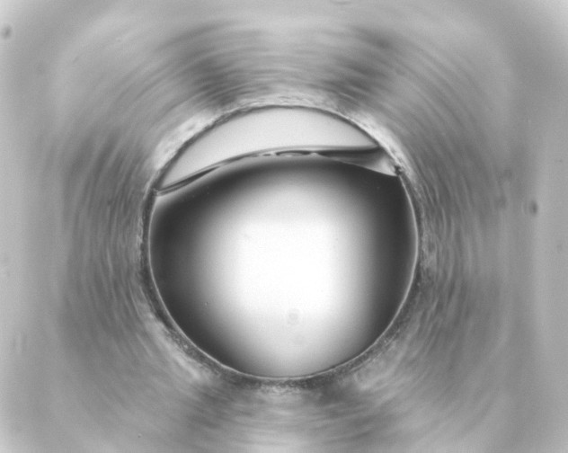 X0000088880437200706221818