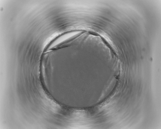 X0000088880438200706221818